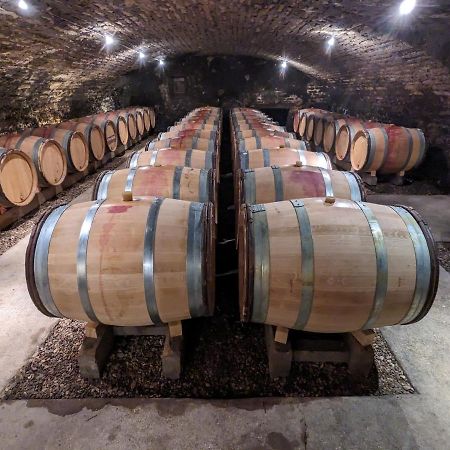 Les Gites De Cour Remond Villers-la-Faye Bagian luar foto