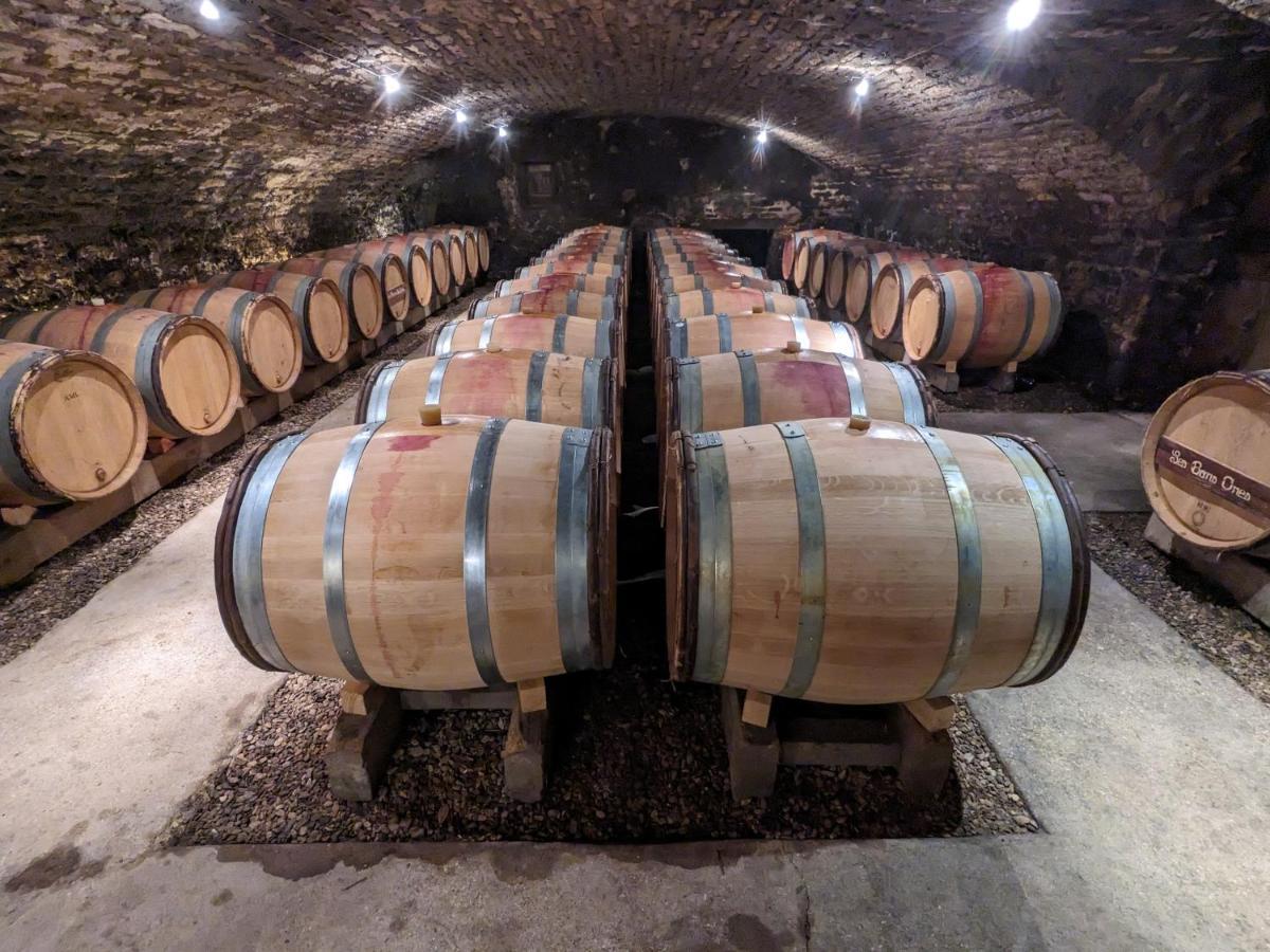 Les Gites De Cour Remond Villers-la-Faye Bagian luar foto