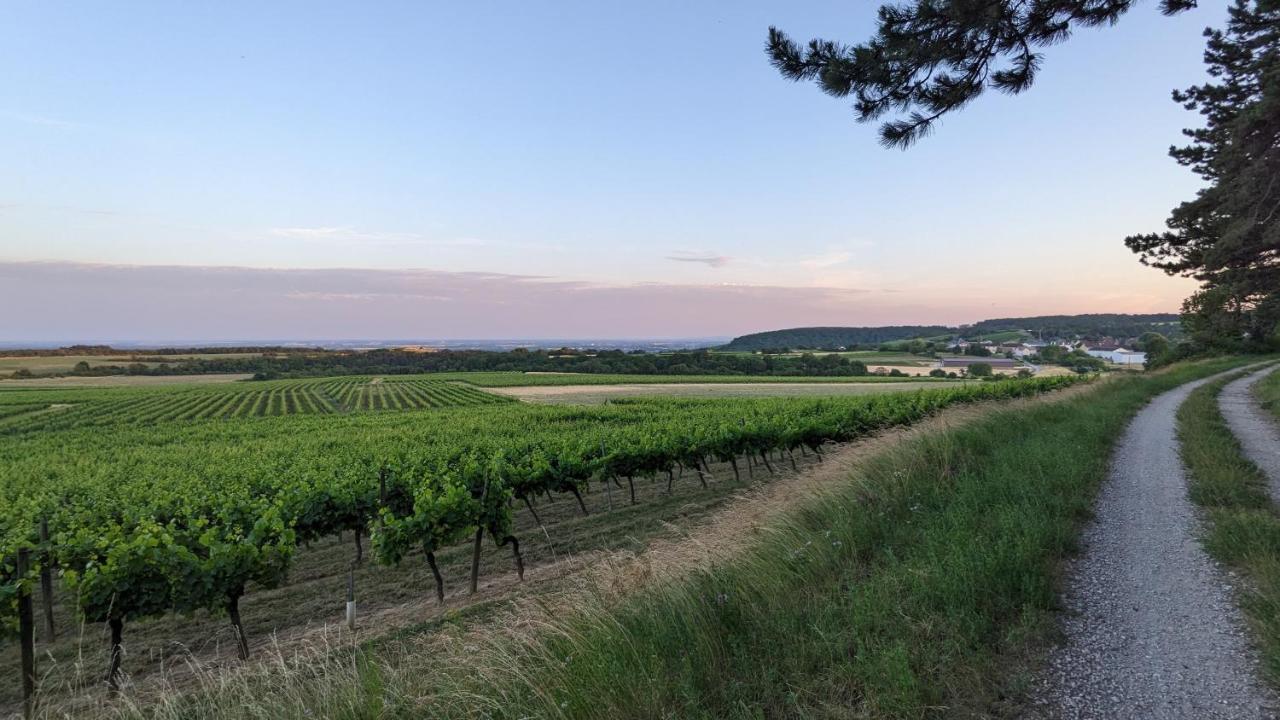 Les Gites De Cour Remond Villers-la-Faye Bagian luar foto