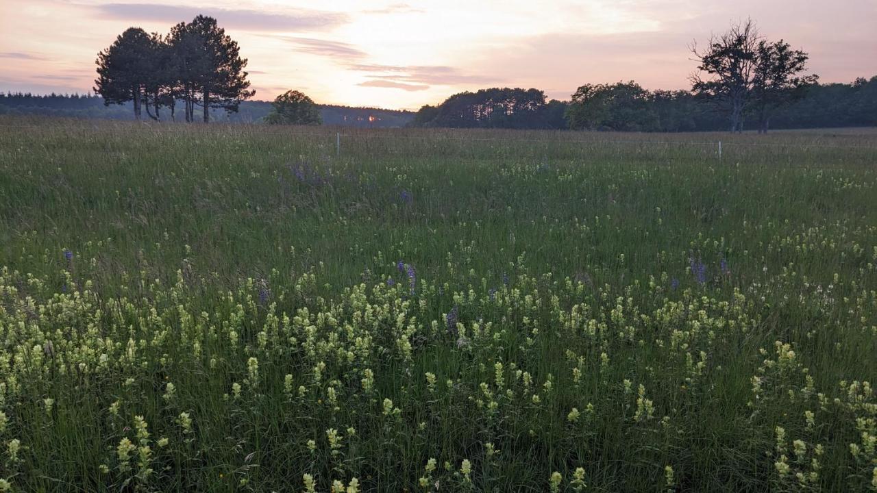 Les Gites De Cour Remond Villers-la-Faye Bagian luar foto
